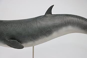 Rheic 1/35 リヴィアタン メルビレイ クジラ類 フィギュア 模型 置物 Rheic 1/35 リヴィアタン メルビレイ クジラ類 フィギュア 模型